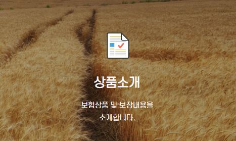 암보험비교사이트 비갱신 암보험