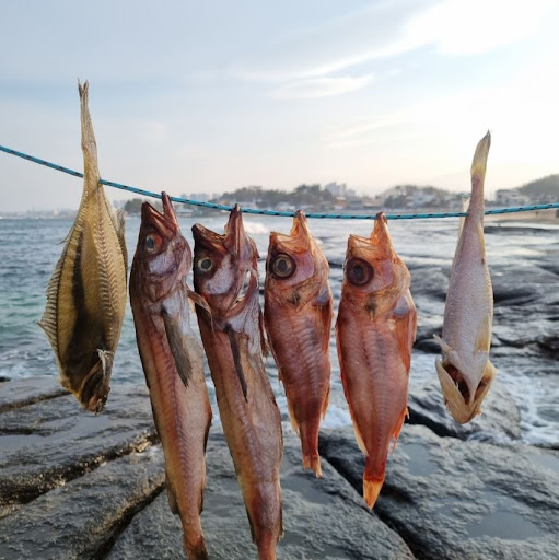 속초사이버장터에서 맛있게 먹는 반건조 참가자미