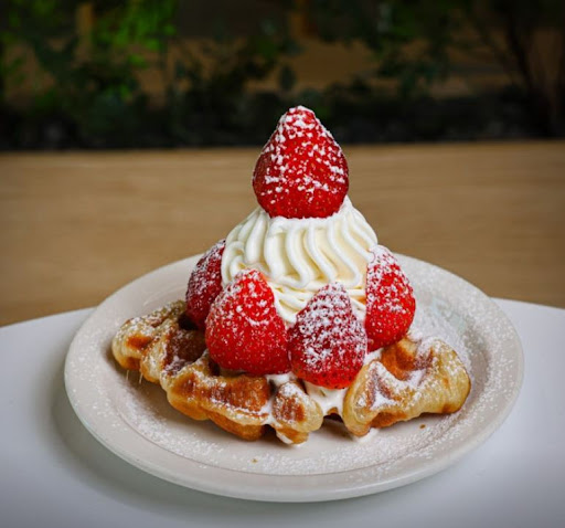 카페달곰, 전주한옥마을맛집 일정과 함께 활용하는 방법